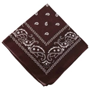 Bandana Scarf Sjal Snusnäsduk Paisleymönster Brun
