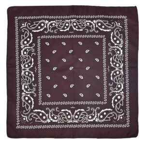Bandana Scarf Sjal Snusnäsduk Paisleymönster Rosa