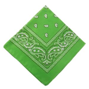 Bandana Scarf Sjal Snusnäsduk Paisleymönster Ljus Grön